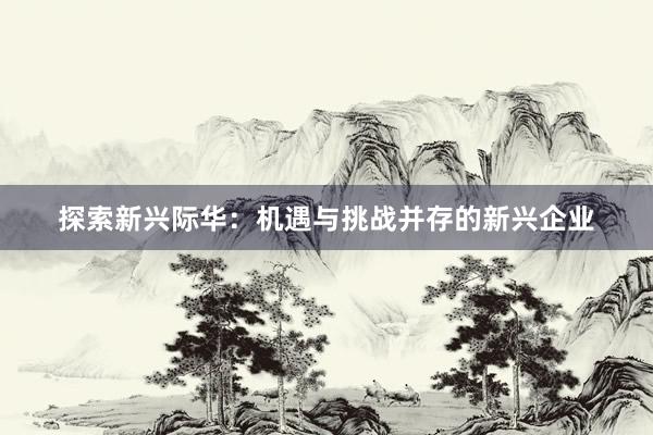 探索新兴际华：机遇与挑战并存的新兴企业
